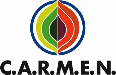 Cropped Logo CARMEN Klein 2